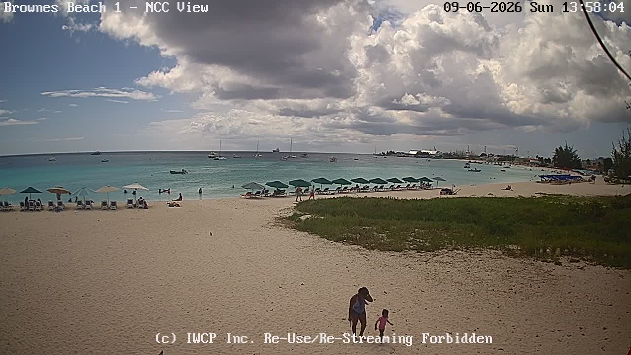 View from the Brownes 1 camera at Brownes Beach