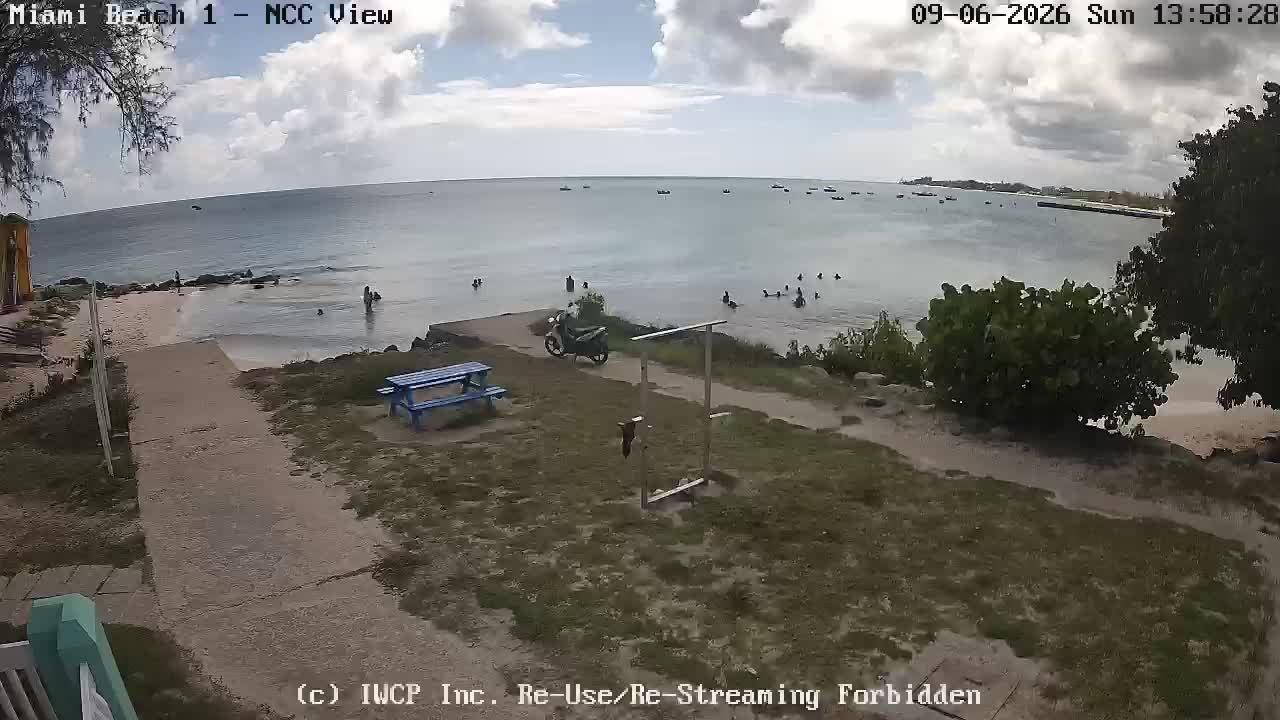 View from Miami 1