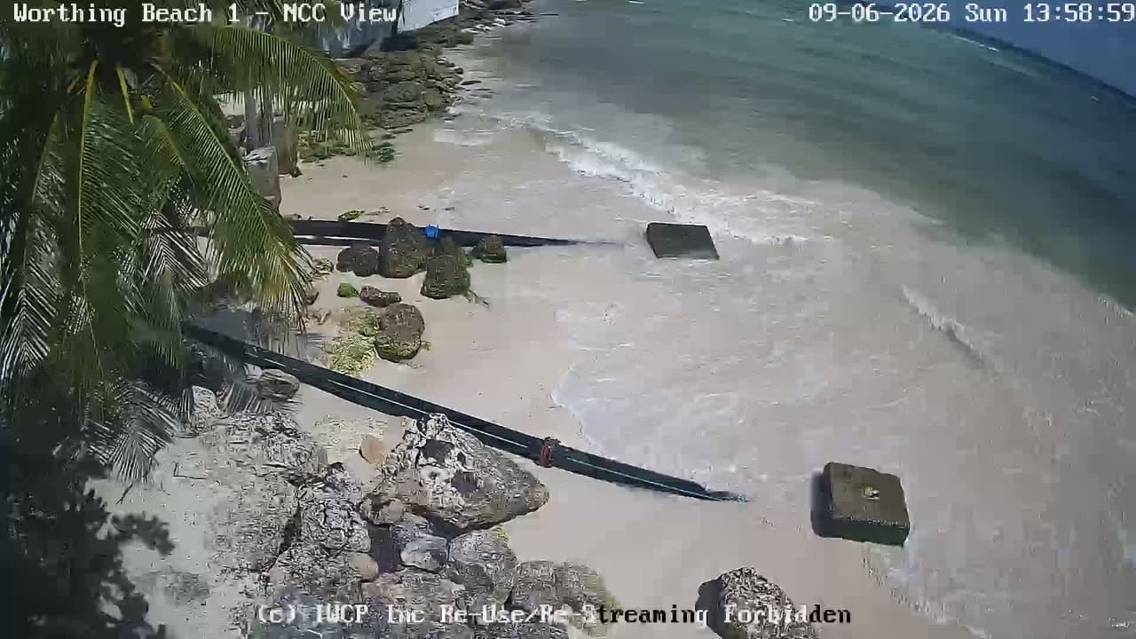 View from the Worthing 1 camera at Worthing Beach